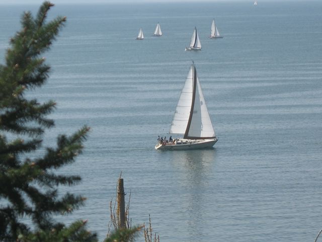 Gorgeous Semiahmoo Bay Views and Scenery